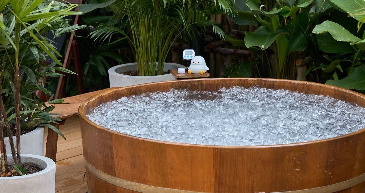 Rechill Wellness Lounge