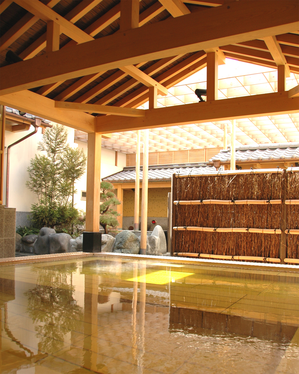 Tokyo Somei Onsen SAKURA